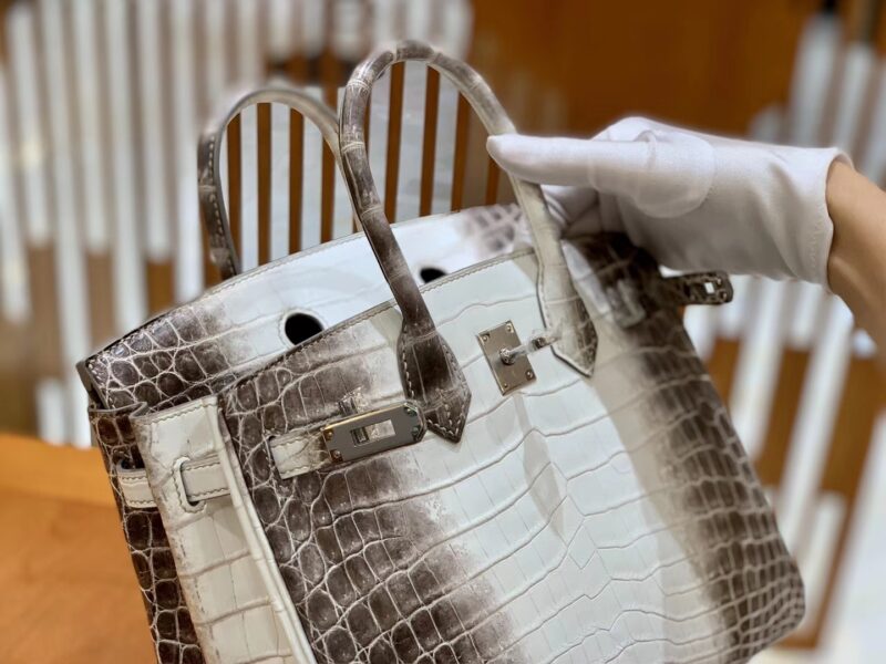 爱马仕 Birkin 铂金包 喜马拉雅 深色 特级品质 一级皮 尼罗鳄鱼皮 银扣 25cm - Image 5