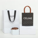 Celine*Cabas系列琴谱袋194372棕印花免检版