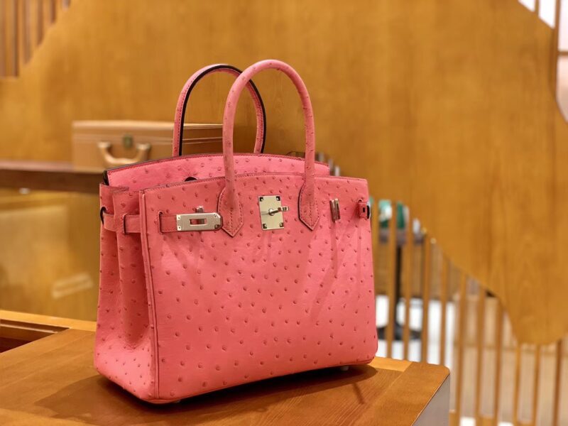 爱马仕 Birkin 铂金包 唇膏粉 鸵鸟皮 手缝工艺 银扣 30cm 现货 - Image 6