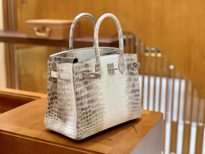 爱马仕 Birkin 铂金包 喜马拉雅 浅色 特级品质 一级皮 尼罗鳄鱼皮 银扣 25cm - Image 6