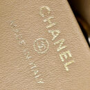 Chanel 24S春夏系列AP3656单肩包棕色免检版