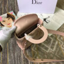 M0532OCAL M413 Dior LADY DIOR小羊皮手提包 新款徽章戴妃包 浅粉