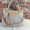 N41133 LV Monogram DAMIER格子系列 EVORA中号手袋