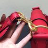 1496893597867462.jpg 迪奥 2017新款女包 D-FENCE红色小牛皮斜挎包 迪奥马鞍包