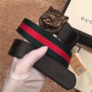 Gucci 古奇新款 头层牛皮腰带 情侣款 精钢虎头扣
