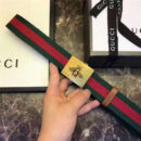 Gucci 古驰 官网同步爆款 织带拼皮 男士腰带 蜜蜂带扣