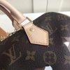 M41113 LV SPEEDY 25 手袋（配肩带）LV柴犬系列 LV枕头包
