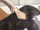 M41113 LV SPEEDY 25 手袋（配肩带）LV柴犬系列 LV枕头包