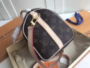 M41113 LV SPEEDY 25 手袋（配肩带）LV柴犬系列 LV枕头包
