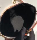 M43587 LV Duffle 手袋 LV春夏新款 LV薯条包 LV晚宴包