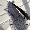 M43845 LV Apollo 双肩包 LV双肩包 LV银光印花背包 SKP限量版
