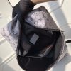 M43845 LV Apollo 双肩包 LV双肩包 LV银光印花背包 SKP限量版
