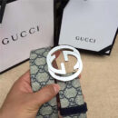 古驰 Gucci 原单面料 头层树膏磨砂底 双G扣头 银色