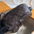 M41560 LV Monogram Backpack 小号双肩包 LV双肩包 LV背包