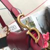M0446 Dior Saddle小牛皮手提包 Dior马鞍包 玫红