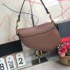 M0446 Dior Saddle小牛皮手提包 Dior马鞍包 豆沙色