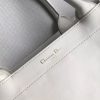 M1286 18新款 秋冬 迪奥托特包 字母印花 双手柄 手提包 白色