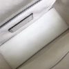 1552952043942758.jpg M0599 Lady 光滑小牛皮 花卉刺绣 迪奥袖珍手提包 白色
