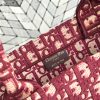 1553731072686671.jpg M1286 迪奥女包 Dior包包 迪奥刺绣购物袋 Dior手提袋 迪奥大容量包 红色