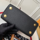 M53319 LV City Steamer 中号手袋 LV女包 LV手提单肩包 黑配香槟色