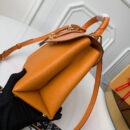 M53818 LV ROSE DES VENTS 小号手袋 LV挂锁包 LV手提单肩包 橙色