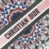 M1286ZRIO Dior Book Tote系列刺绣帆布手提包 点缀彩色图案刺绣