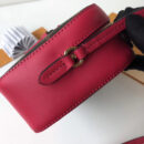M43557 LV Saintonge 手袋 Monogram帆布老花女包 LV相机包 玫红