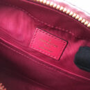 M43557 LV Saintonge 手袋 Monogram帆布老花女包 LV相机包 玫红