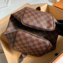 N41365 LV SPEEDY 25手袋（无肩带）Damier 帆布咖啡格女包 LV枕头包