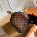 N41365 LV SPEEDY 25手袋（无肩带）Damier 帆布咖啡格女包 LV枕头包