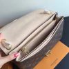 M50069 LV PallasChain手袋 Monogram帆布女包 LV链条包 裸粉