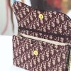 1563206872561708.jpg M5620 Dior Oblique女包 提花帆布 迪奥链条包 Dior手拿包 酒红色