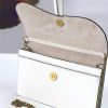 M5620 Dior Saddle系列女包 woc包型 小牛皮 迪奥链条包 Dior手拿包 白色