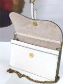 M5620 Dior Saddle系列女包 woc包型 小牛皮 迪奥链条包 Dior手拿包 白色