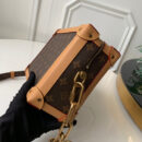 M44660 LV SOFT TRUNK 手袋 Monogram 帆布男包 LV盒子包
