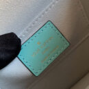 M55837 LV MINI DAUPHINE 手袋 LV蒂芙尼小牛皮女包 绿色