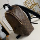 M44874 LV Palm Springs 中号双肩包 LV 2019新款拼色中号背包
