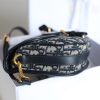 M9319 迪奥 Dior Bobby 中号手袋 蓝色 Oblique 印花女包