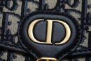 M9319 迪奥 Dior Bobby 中号手袋 蓝色 Oblique 印花女包