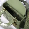1603332675549918.jpg M0538 迪奥Lady Dior My ABCDior 手袋 漆皮藤格纹 绿色