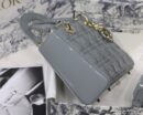 M0538 迪奥Lady Dior My ABCDior 手袋 漆皮藤格纹 灰色