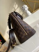N53151 LV Alma 小号手袋 Damier Ebene 帆布贝壳包