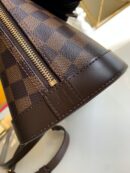 N53151 LV Alma 小号手袋 Damier Ebene 帆布贝壳包
