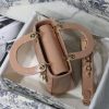 1604535867635097.jpg M0538 迪奥Lady Dior My ABCDior 手袋 漆皮藤格纹 裸色