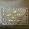 M69973 LV NOE PURSE 手袋 LV1854限量版水桶包 灰色