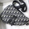 1ADPO Dior 迪奥迷你马鞍包 米色和黑色 Oblique 印花