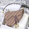 1607069594258594.jpg M0446 Dior Saddle马鞍包 Dior Oblique 绣花丝绒 棕色