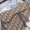 1607069595844248.jpg M0446 Dior Saddle手提包 棕色天鹅绒 Oblique 印花马鞍包