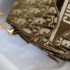 1607301664717832.jpg M0446 Dior Saddle马鞍包 Dior Oblique 绣花丝绒 棕色