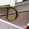1607302445127218.jpg M0446 Dior Saddl手掌纹手提包 Dior马鞍包 白色